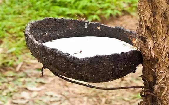 天然乳膠泡沫多是什么原因，有什么危害？